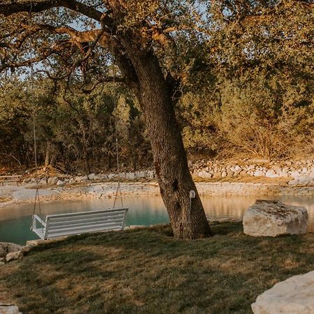 Villa Nest - Texas Tiny House With A Big View à Spring Branch Extérieur photo
